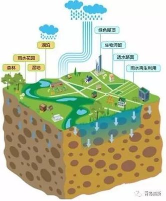 【红岛TV·媒体聚焦】青岛高新区:强化水环境生态治理推动新城绿色发展